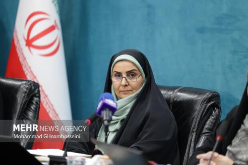 تسهیل فرایند اعطای مجوز کشتی های کروز مسافری در ایران