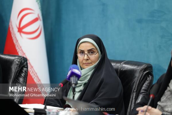 تسهیل فرایند اعطای مجوز کشتی های کروز مسافری در ایران