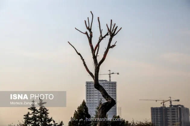 واکنش شهرداری به گزارش مجوزهای برج سازی و پاسخ ایسنا